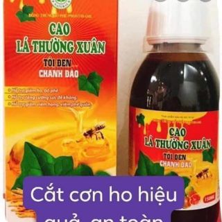 CAO LÁ THƯỜNG XUÂN