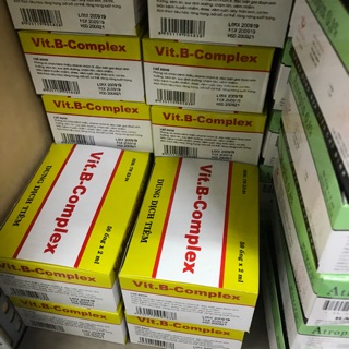 Thuốc bổ chống mất máu và nhanh hồi phục sau ốm  cho vật nuôi 50 ống- 2ml