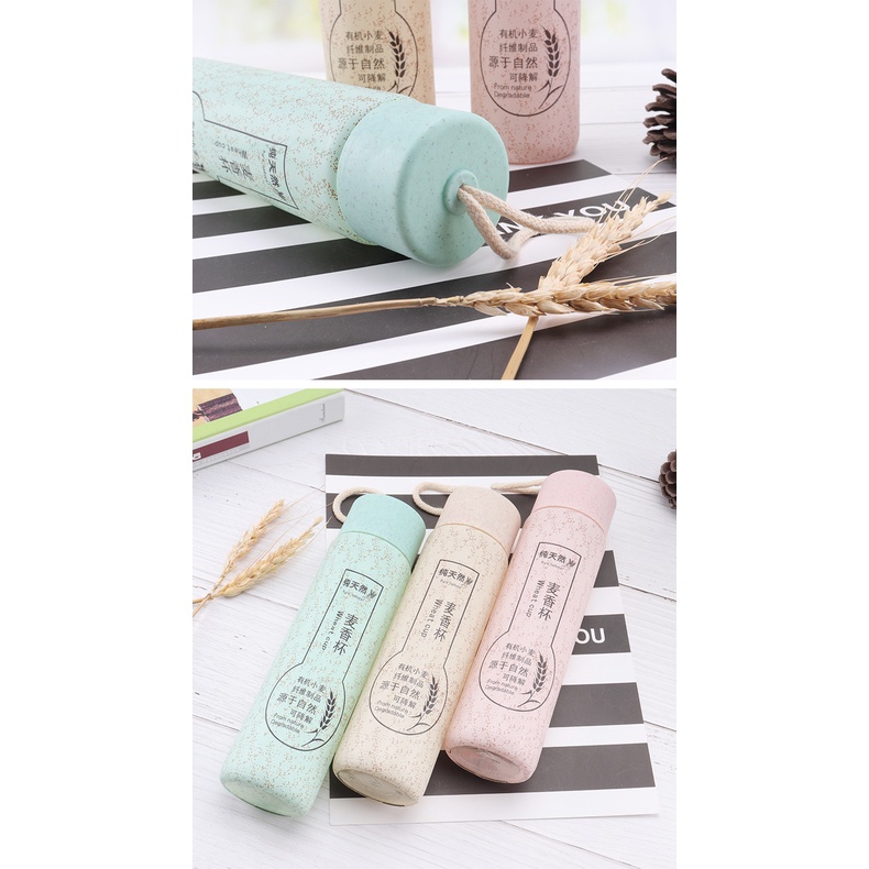 Bình đựng nước lõi thủy tinh, vỏ nhựa, mẫu mã độc đáo giữ nóng lạnh 6 đến 8 tiếng