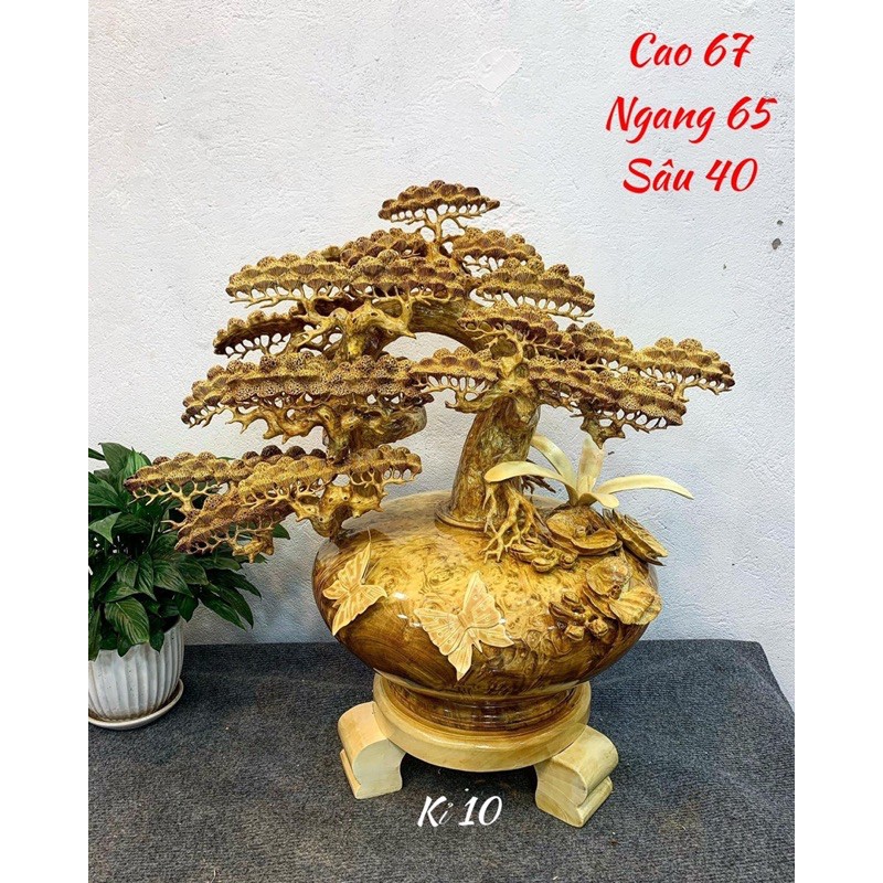 [Tượng VIP] Bình tùng bonsai gỗ nu kháo