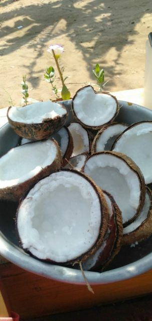 MỨT DỪA SÁP LÀM NHÀ ĐẶC SẢN CẦU KÈ TRÀ VINH