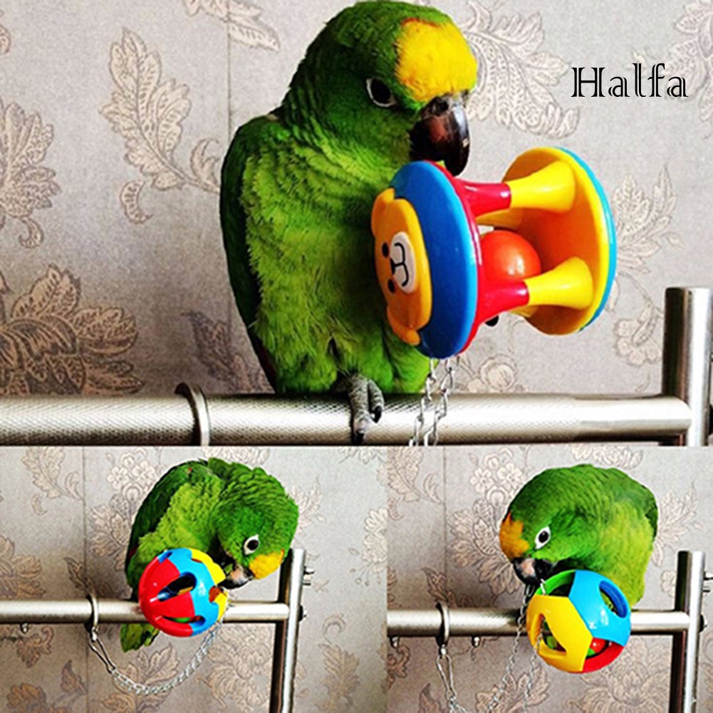 Quả bóng đồ chơi cho chú vẹt