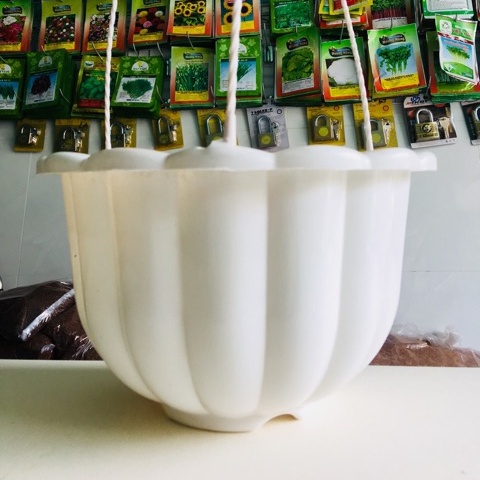 Combo 5 Bộ Chậu Nhựa Treo Hình Quả Bí, Châu Hoa Treo + Tặng dây treo (2 size)