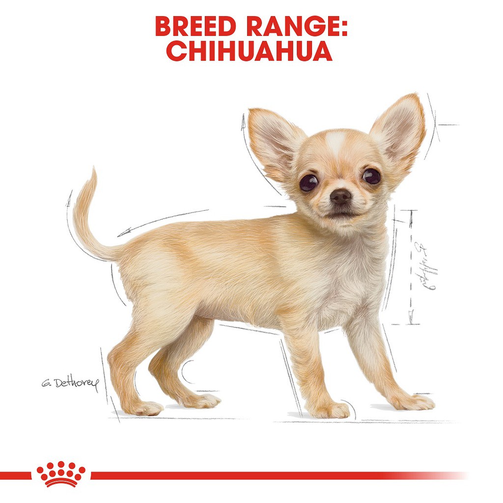 Thức Ăn Hạt Cho Chó Chihuahua Puppy Royal Canin Chihuahua Puppy 500g 1.5Kg Cho Chó Con Chihuahua