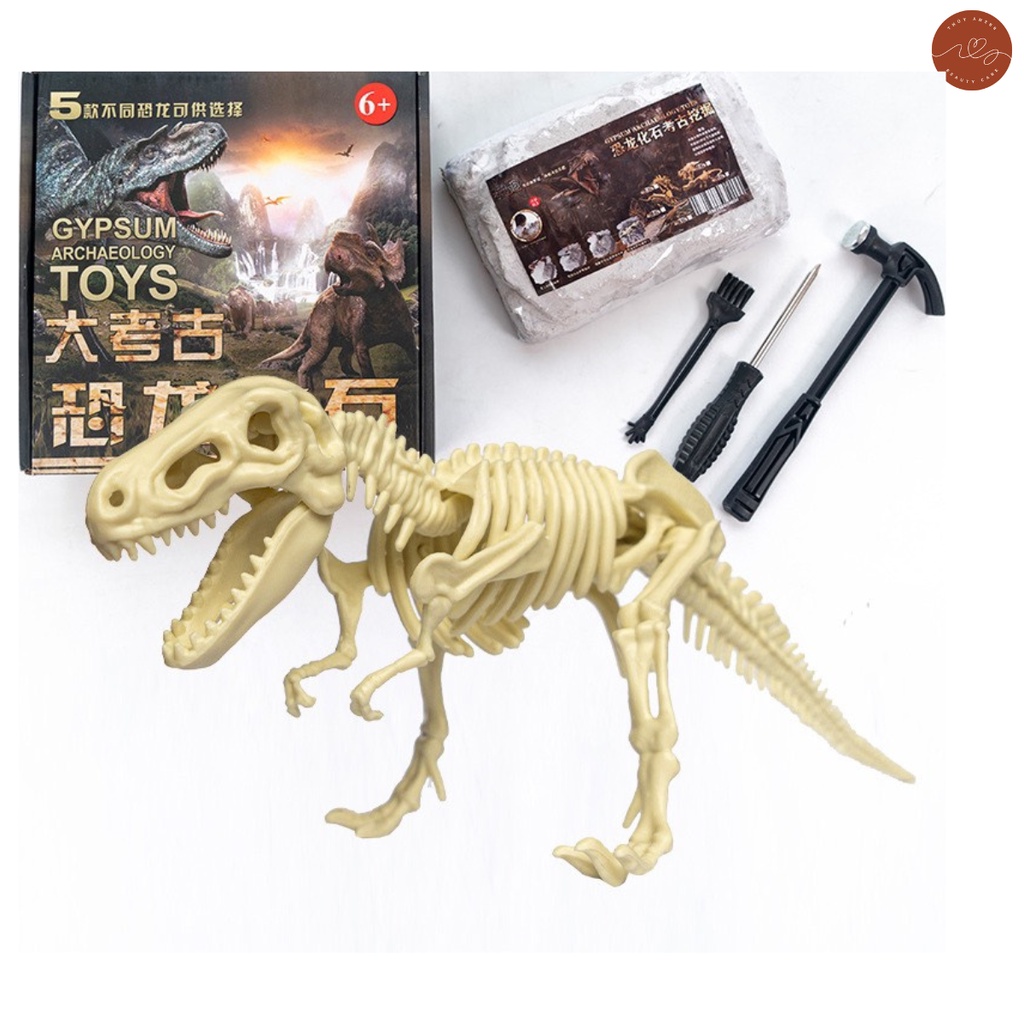 Đồ Chơi Đào Hóa Thạch Khủng Long Khảo Cổ Học Đi Tìm Xương Kho Báu Treasue X Cục Vàng Làm Vòng Tay Cho Bé Giá Rẻ Nhất