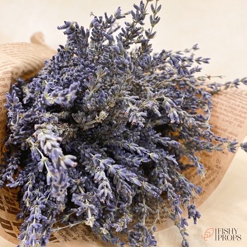 Hoa Lavender Khô RẤT THƠM và NHIỀU NỤ