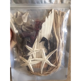 Combo tứ hải long vương