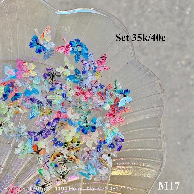 set 40c charm hình bướm 4D