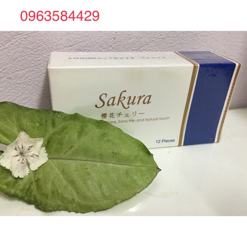 Bao Cao Su SAKURA Siêu Mỏng 12 Chiếc/ Hộp