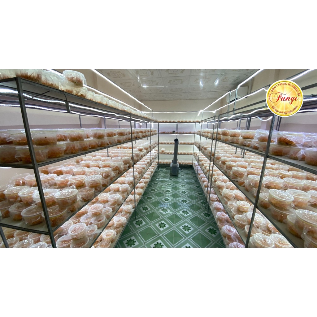 Cơ Chất Đông Trùng Hạ Thảo Fungi (1kg) [Thế Giới Nấm - Cantho Fresh Food]