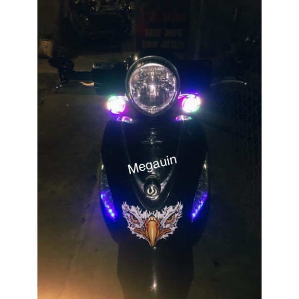 Decal mặt đại bàng 3 lớp chống nước (giá 1 cái)