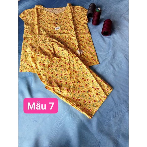 Bộ Lửng Mặc Nhà Kate Thô Hàn Mát Xinh Trẻ Trung