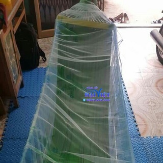 VÕNG XẾP PHI 32 SƠN TĨNH ĐIỆN CỠ ĐẠI
