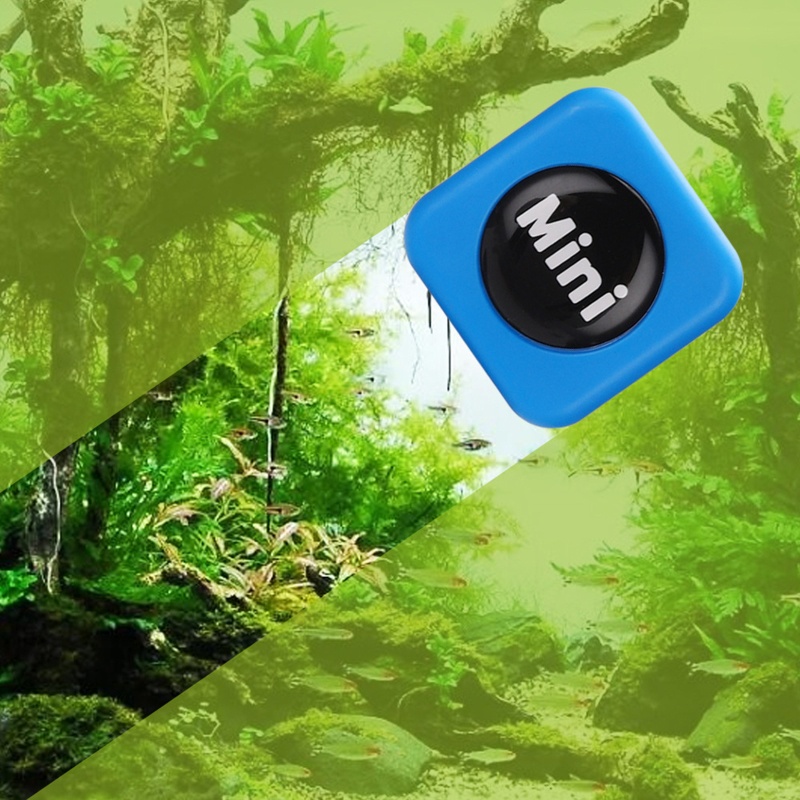 Bàn Chải Mini Hút Nam Châm Vệ Sinh Kính Bể Cá