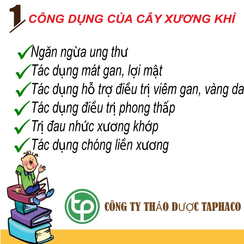 Cây bìm bịp  sấy khô - tấn phát