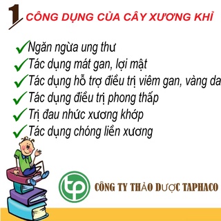 [Mã GROSALE2703 giảm 8% đơn 250K] Cây bìm bịp (xương khỉ) sấy khô - tấn phát