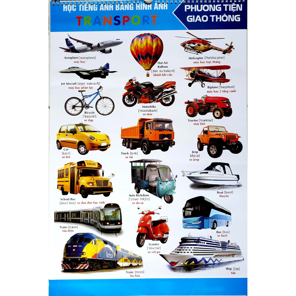 Bộ tranh treo học tập thông minh 10 chủ đề cho bé - Xact Studio - Mẫu 2