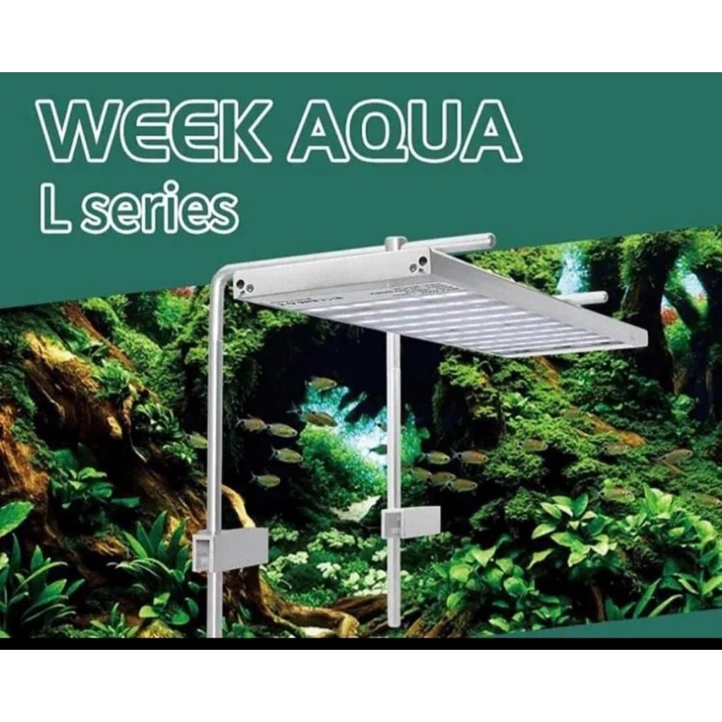 Đèn Week L600 , L900, L1200