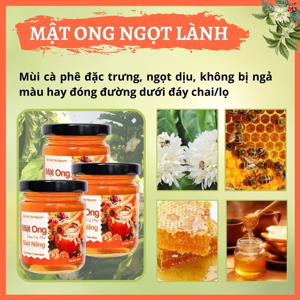 Mật ong hoa cà phê nguyên chất tự nhiên đặc sản Đăk Lăk nhiều dinh dưỡng 100ml - 1000ml từ Nông Sản Giọt Nắng Hà Nội
