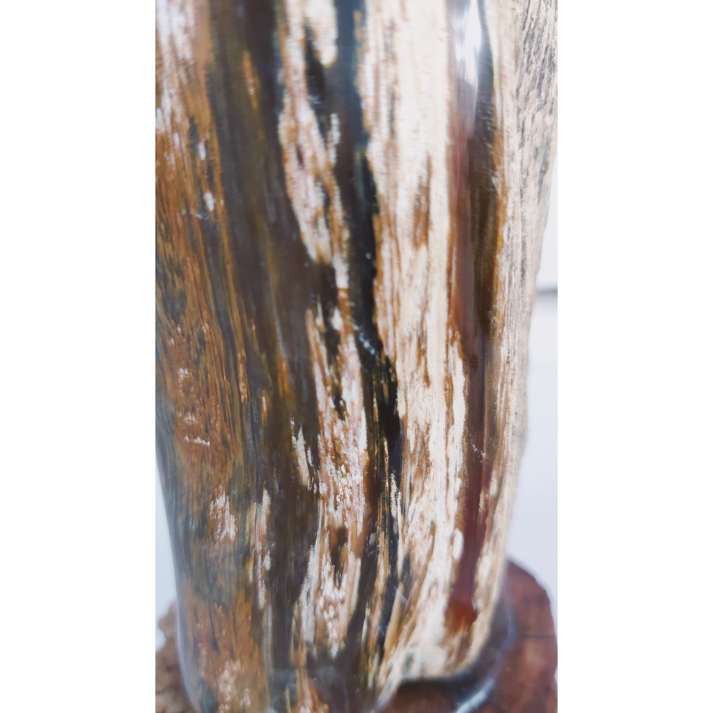 Gỗ Hóa Thạch 100% tự nhiên-Xuất Xứ Gia Lai Việt Nam-Giá gốc tại xưởng-Khối lượng: 1.1kg -Cao: 19cm -Rộng: 9cm