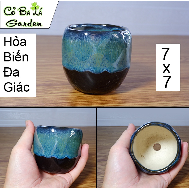 Chậu sứ trồng cây mini hỏa biến