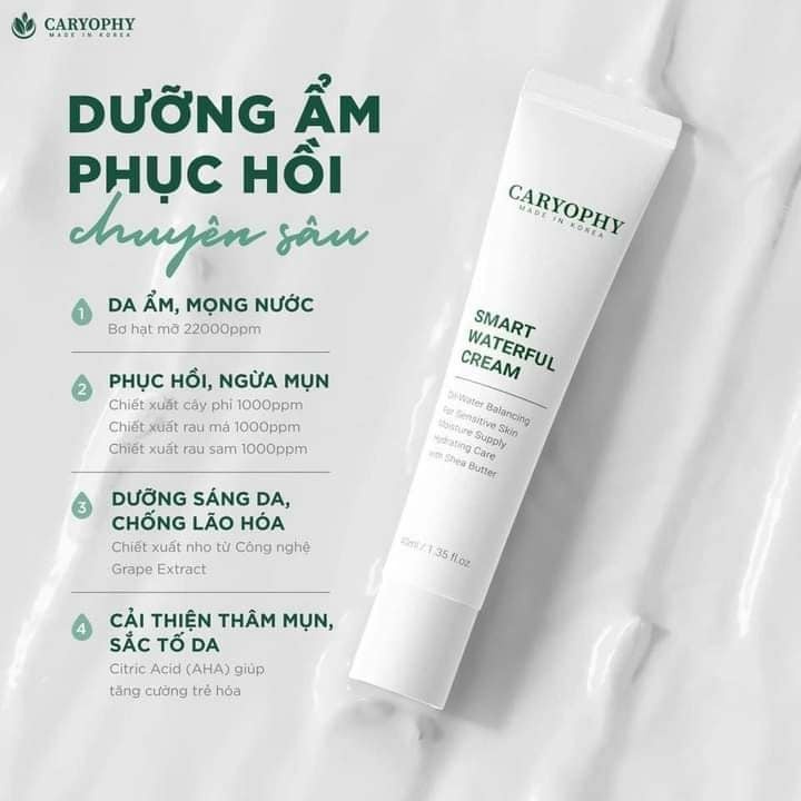 ( Tuýp Full &amp; mẫu dùng thử) Kem dưỡng Caryophy Smart Waterfull Cream 40ml