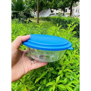 Bộ 2 thố thủy tinh có nắp Ensure