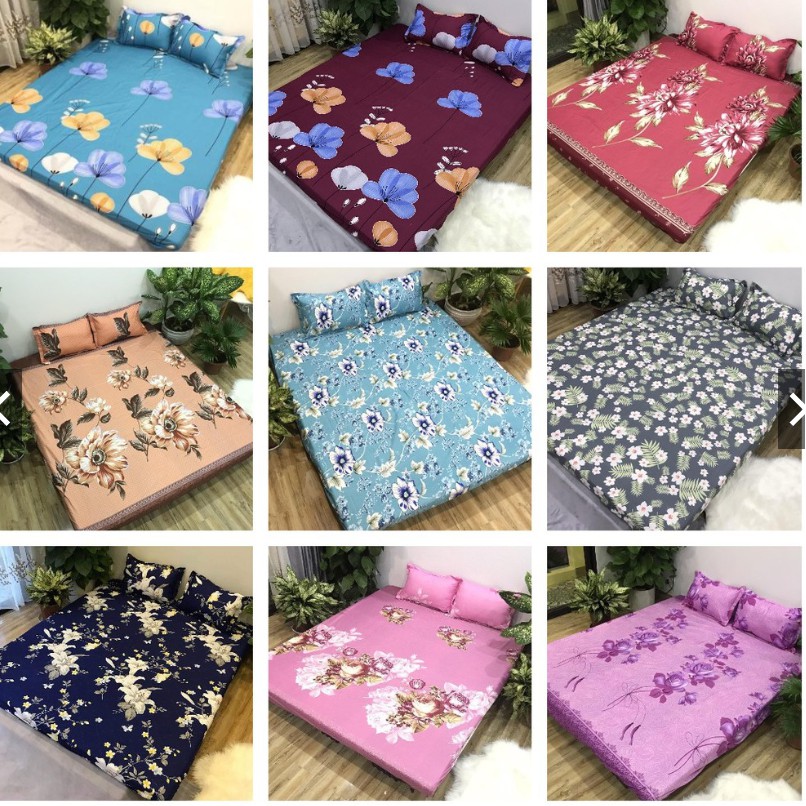 Ga trải giường cotton poly
