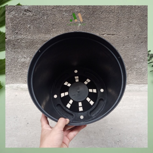 Chậu nhựa cứng tròn đen trồng cây trong nhà, kiểng lá, các loại cây cảnh Thakico size 28x24 giá xưởng