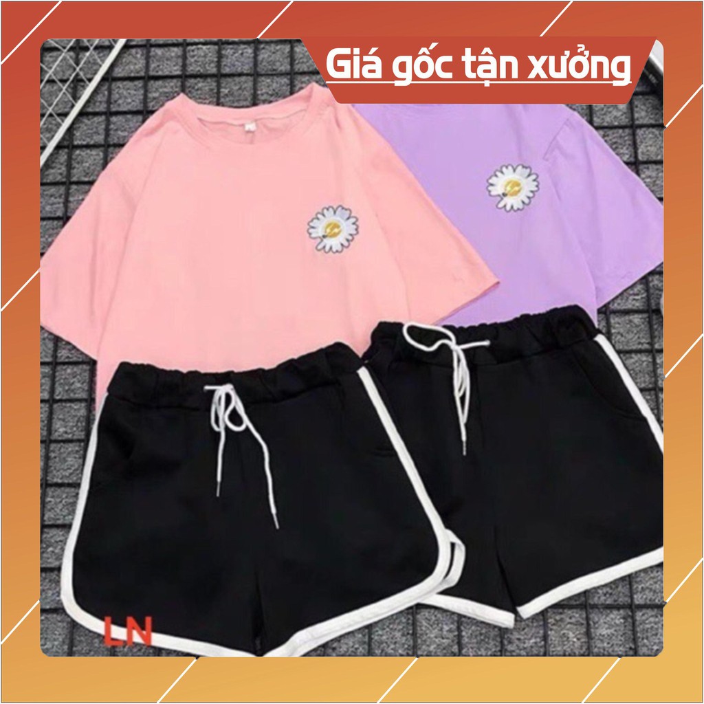 Sét áo lô gô hoa cúc + quần đùi viền LN12