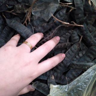 Bồ kết khô
