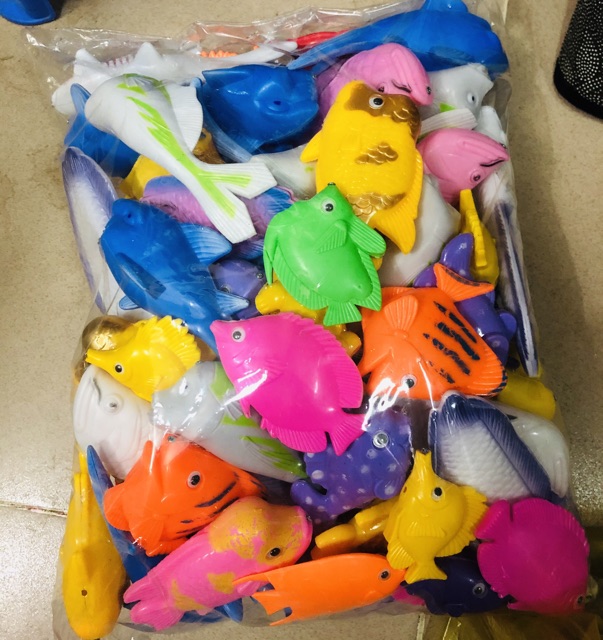1kg cá cân