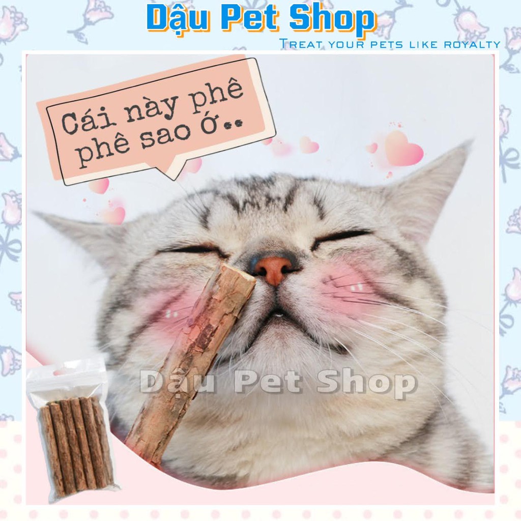 🌈BỊCH QUE GỖ CATNIP LÀM SẠCH RĂNG CHO MÈO🌈