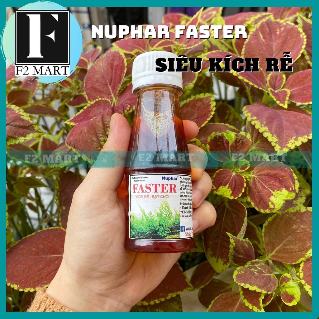 Phân nước Nuphar Faster lọ 100mL | Kích rễ, thúc đẩy tăng trưởng cho cây thuỷ sinh