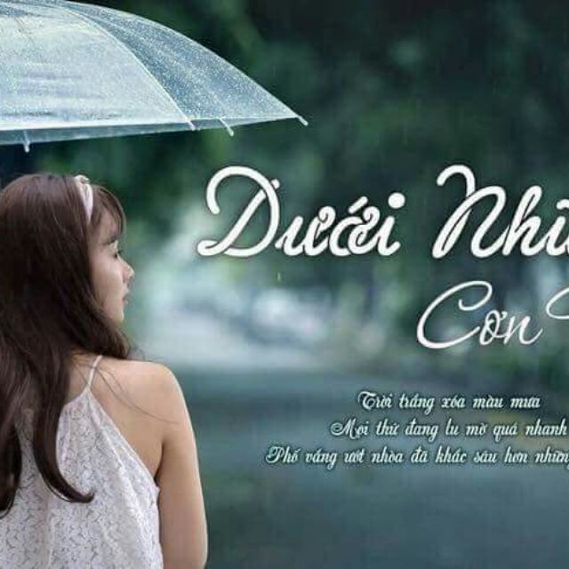 Ô đi mưa trong suốt.