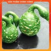 Hạt giống bầu thiên nga gói 5 hạt