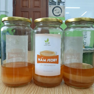 Combo Nấm scoby kèm nước mồi làm kombucha Viethealthy