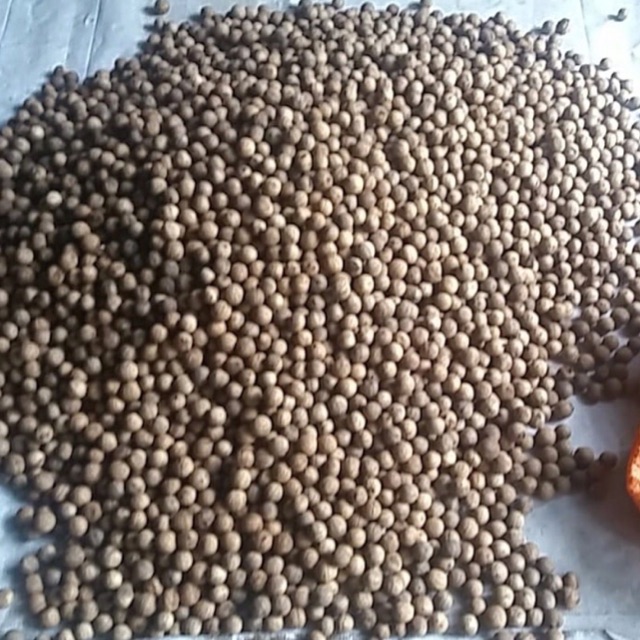 Quả óc chó rừng 300g