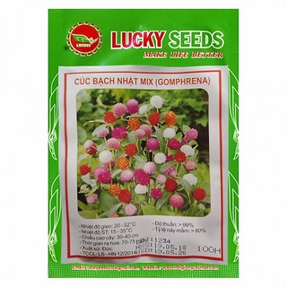 HẠT GIỐNG CÚC BẠCH NHẬT NHIỀU MÀU - GÓI 50 HẠT