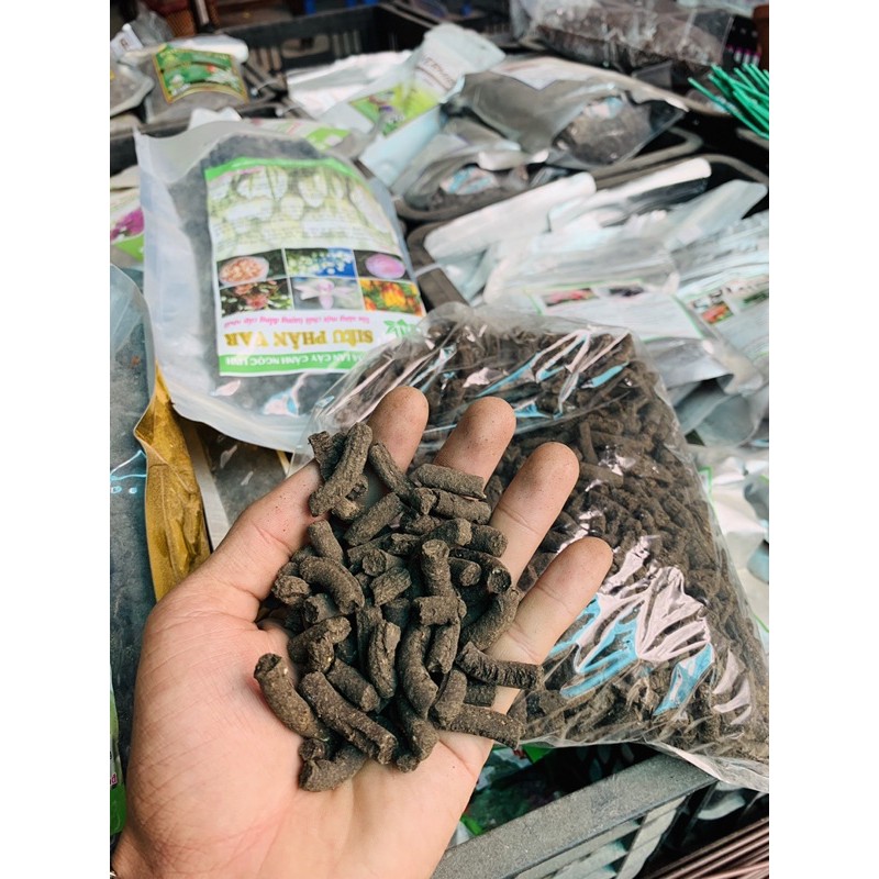 Phân trâu nén viên siêu tan chậm