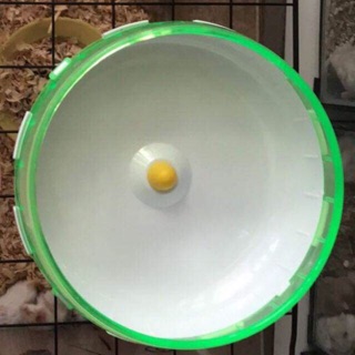 Wheel size 21 cho hamster bear không kèm đế