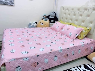 Chăn ga gối trần bông