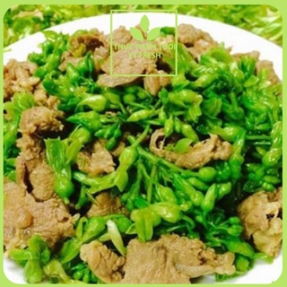 Thịt Nai Phi Lê Khánh Hòa Gói 1Kg