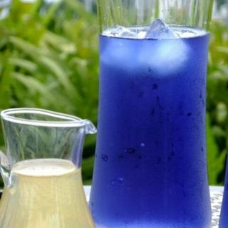 Sỉ 3000 hạt giống hoa đậu biếc