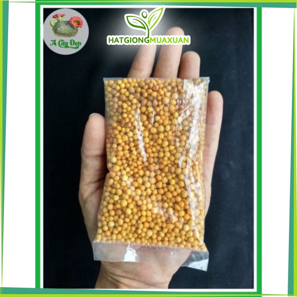 100g Phân tan chậm NPK 14-14-14 xuất xứ Thái Lan hàng đẹp, phân phối chuyên nghiệp.