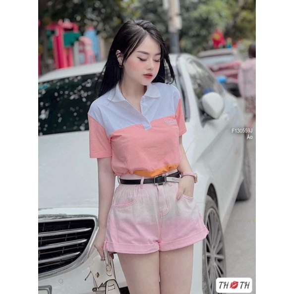 Áo thun polo phối 3 màu cổ bẻ 1305
