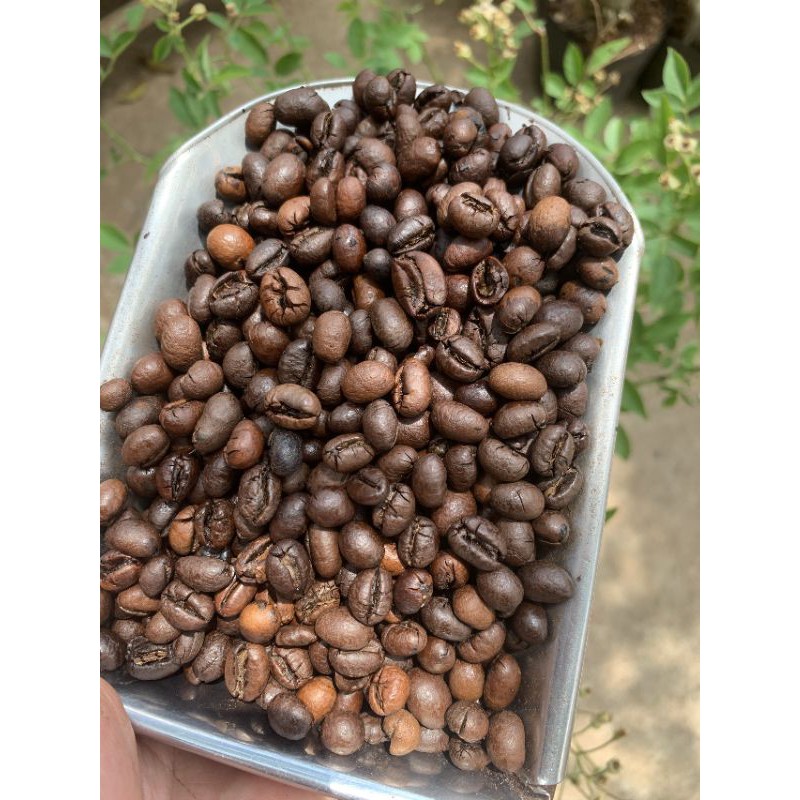 Cà Phê Culi Robusta gói 500g | BigBuy360 - bigbuy360.vn
