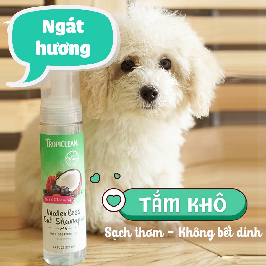 SỮA TẮM KHÔ TROPICLEAN HƯƠNG DỪA - AN TOÀN, MỀM MƯỢT CHO BOSS