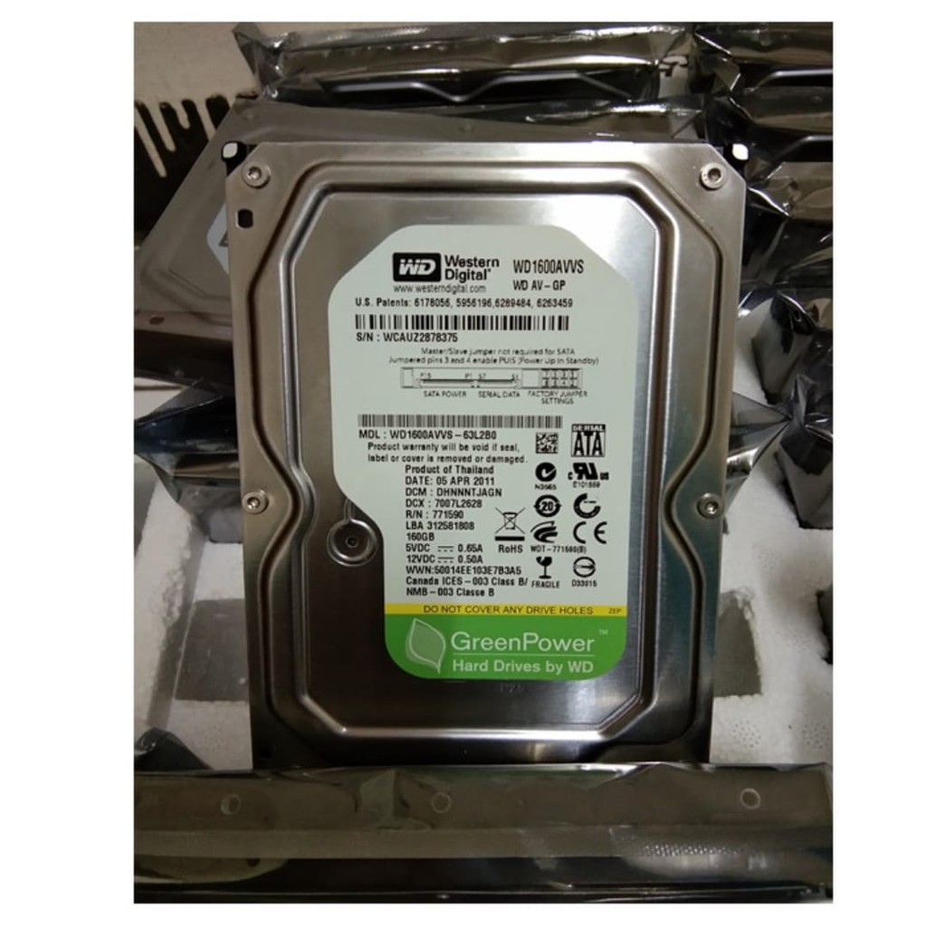 Ổ Cứng Ngoài Wdc Hdd Internal 160gb Sata Wd | BigBuy360 - bigbuy360.vn