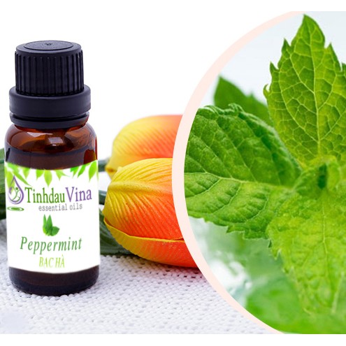 Tinh dầu bạc hà 10ml